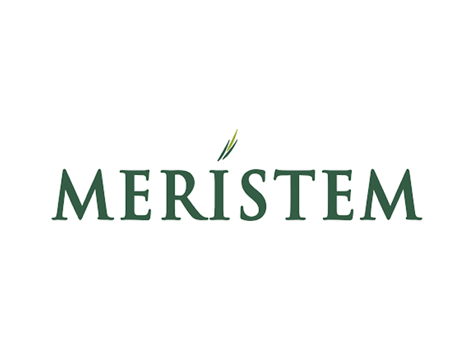 Meristem Capital Limited