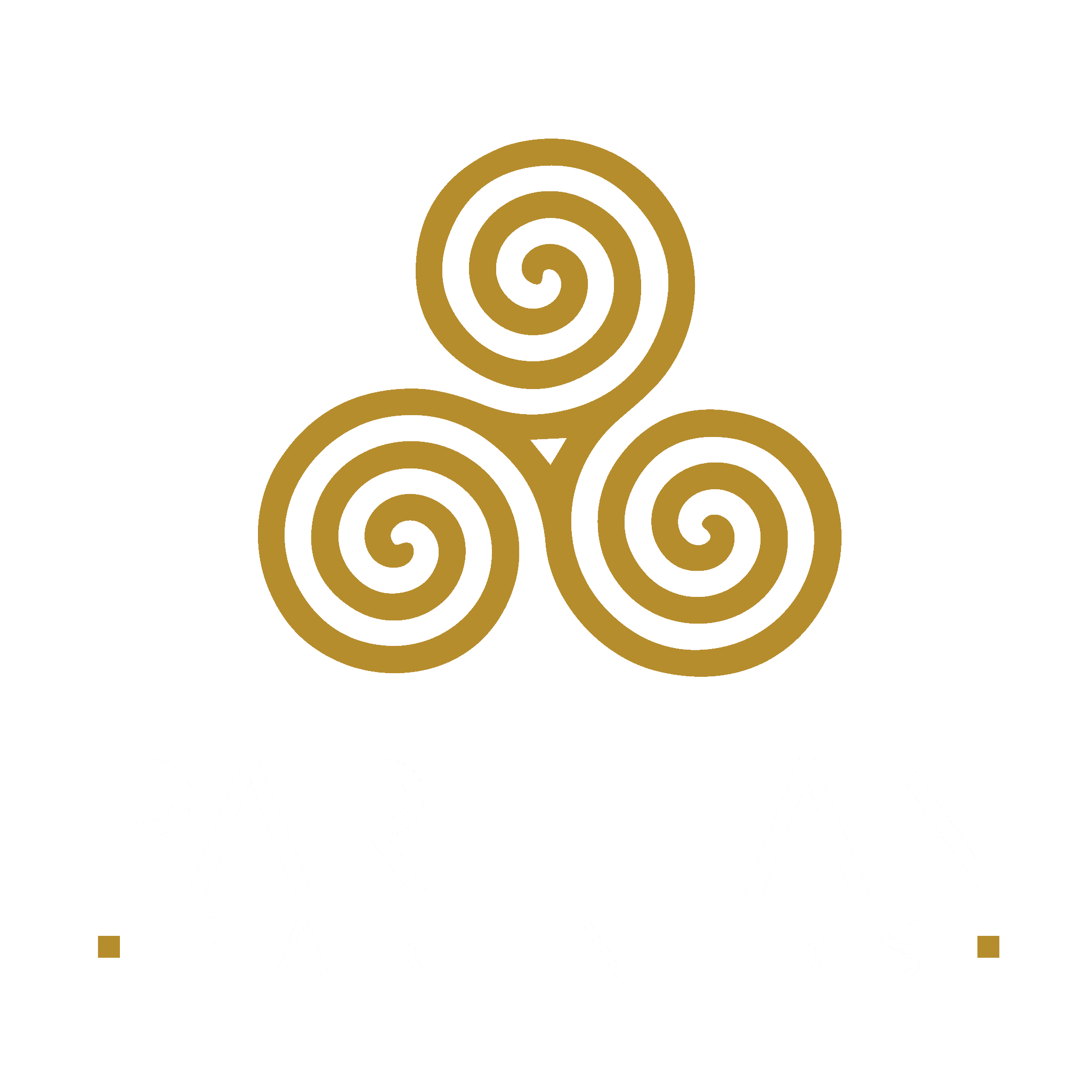 Parthian Partners Ltd